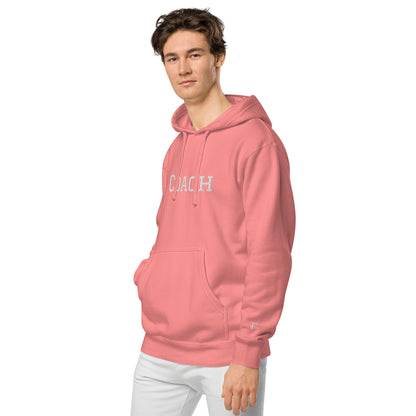 Coach pigment-dyed hoodie